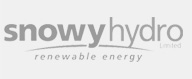 SnowyHydro Logo