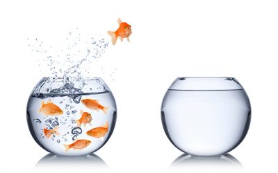 Training: From Ideation to Execution