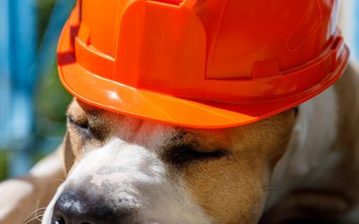 Safety Excellence Philosophies